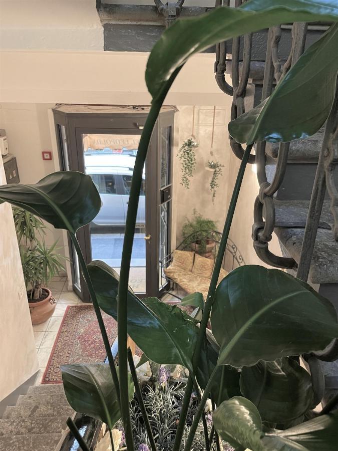 Hotel Leopolda Φλωρεντία Εξωτερικό φωτογραφία